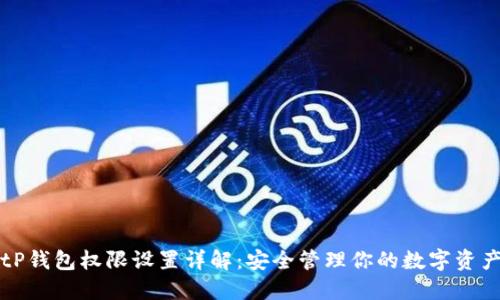 tP钱包权限设置详解：安全管理你的数字资产