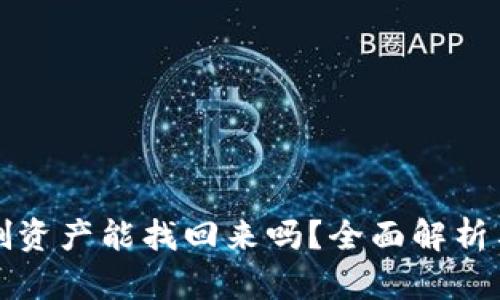 TP钱包误删资产能找回来吗？全面解析与解决方案