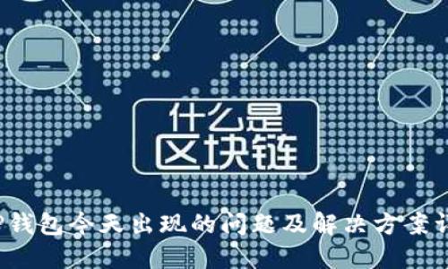  TP钱包今天出现的问题及解决方案详解