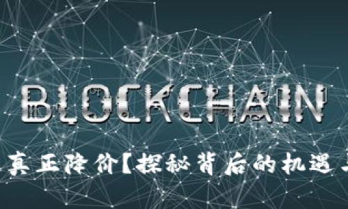 区块链真正降价？探秘背后的机遇与挑战！