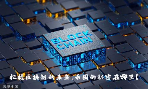 把握区块链的未来，币圈的秘密在哪里？
