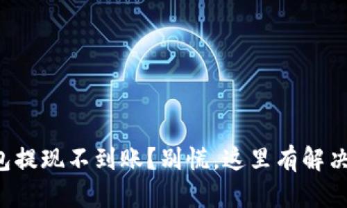 TP钱包提现不到账？别慌，这里有解决方案！