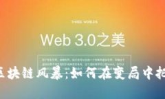 云尊币区块链风暴：如何在变局中把握机会？