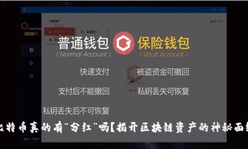 比特币真的有“分红”吗？揭开区块链资产的神秘面纱