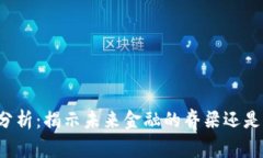 区块链高度分析：揭示未来金融的脊梁还是泡沫