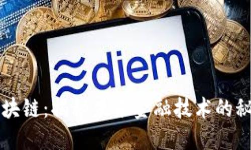 蚂蚁区块链：揭秘未来金融技术的秘密武器