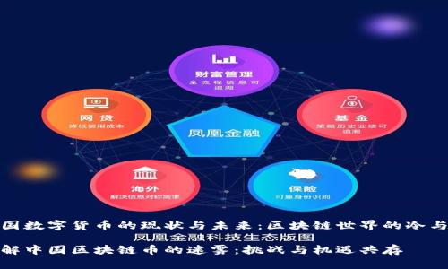 中国数字货币的现状与未来：区块链世界的冷与热

破解中国区块链币的迷雾：挑战与机遇共存