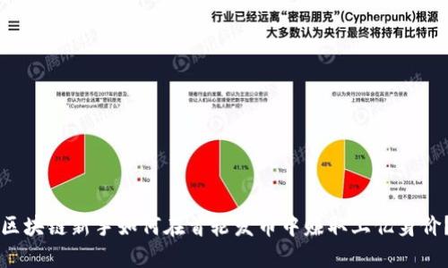 区块链新手如何在首轮发币中赚取上亿身价？