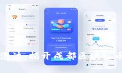 从潜力到泡沫：揭开成都区块链币圈的真相