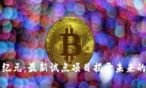 区块链新纪元：最新试点项目揭开未来的神秘面纱