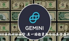 揭开BHD币的神秘面纱：是一场投资机会还是潜在