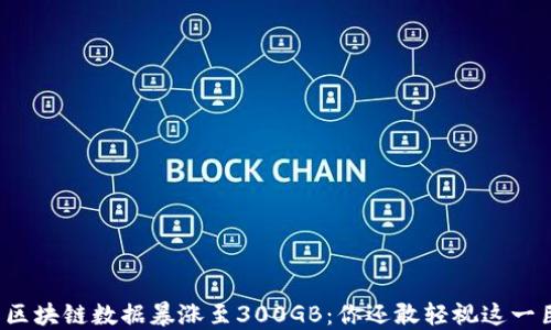 
比特币区块链数据暴涨至300GB：你还敢轻视这一巨兽吗？