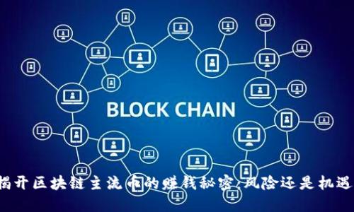 揭开区块链主流币的赚钱秘密：风险还是机遇？