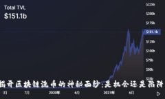 揭开区块链洗币的神秘面纱：是机会还是陷阱？