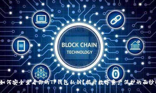 如何安全查看你的TP钱包私钥？揭开数字资产保护的面纱！