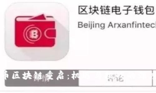 维卡币区块链重启：机遇与挑战的深度解析