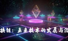 无币区块链: 未来技术的发展与潜在应用