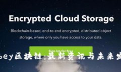 探秘Abbey区块链：最新资讯与未来发展趋势