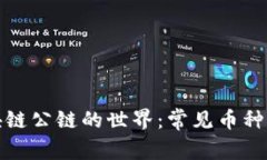 探索区块链公链的世界：常见币种及其特点