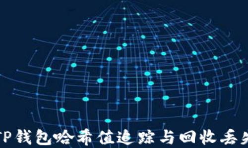 
如何通过TP钱包哈希值追踪与回收丢失的币资产