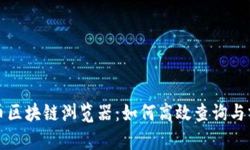 全面解析莱特币区块链浏览器：如何高效查询与分析区块链信息