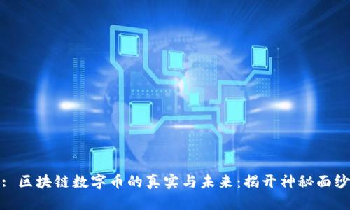 : 区块链数字币的真实与未来：揭开神秘面纱